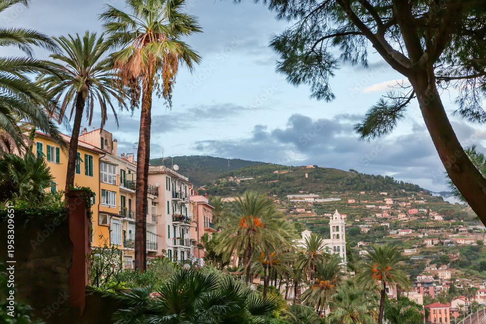 Fototapeta premium Provincial town among the subtropical vegetation on hills at autumn