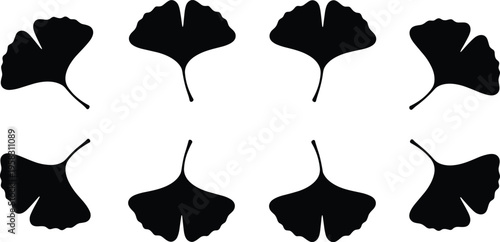 Black ginkgo biloba leaf silhouettes set isolated on white background for nature design elements wellness herbal medicine botanical patterns and minimalist organic leaf decorations