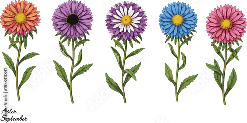 Set of diverse digital nomads working on laptops and tablets in various indoor and outdoor settings.