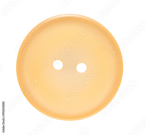 one sewing button on a white isolated background