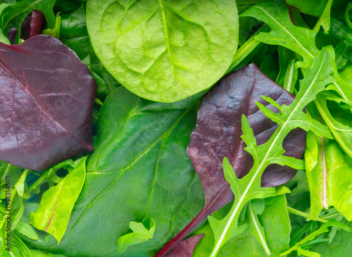 Mixed salad leaves close-up, food background