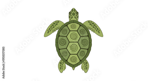 Green turtle shell illustration with extended flippers on a white background in a flat style.