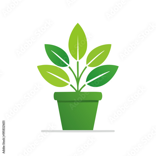 Green Potted Plant with Lush Leaves Growing Indoors