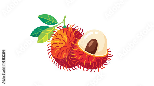 Exotic Rambutan Fruit with Leaves and Cut Slice.