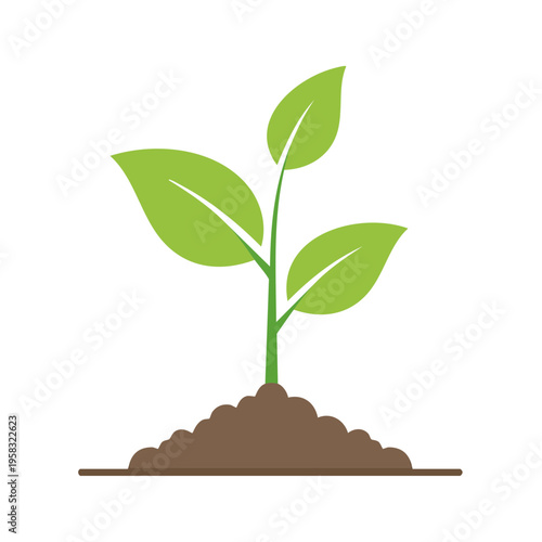 Green seedling sprouting from rich soil representing new growth and organic life
