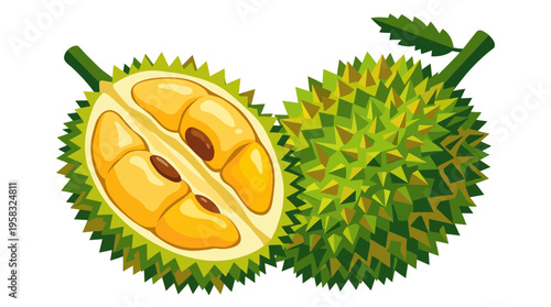 Fresh Ripe Durian Fruit Halved Showing Yellow Flesh.