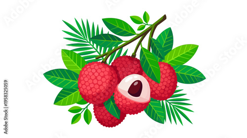 Fresh Ripe Lychee Fruits on a Branch with Leaves.