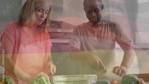 Animation of german flag over diverse couple preparing food