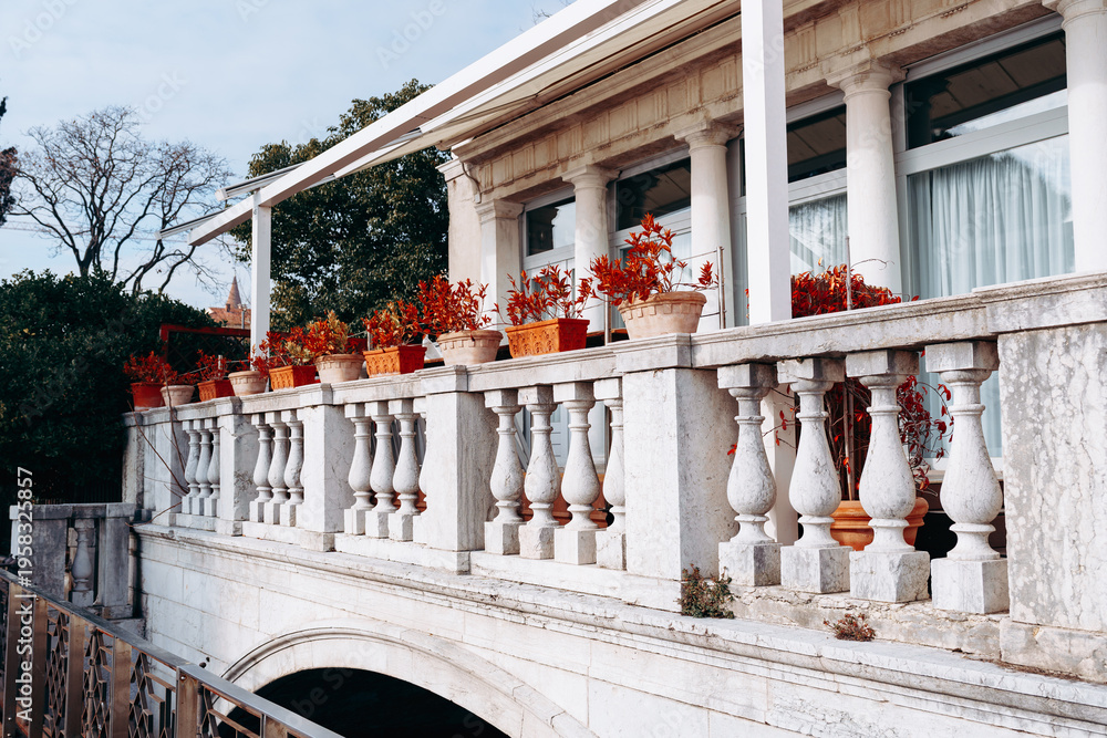 Naklejka premium Bright red plants lined up on a stone balcony in a city during a sunny day