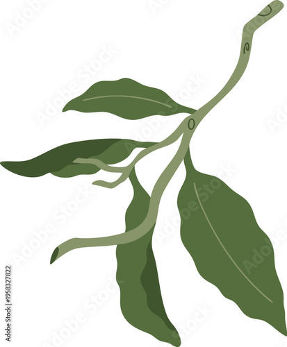 Wild Green Leaf Stem Illustration Nature Style
