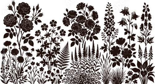 A beautiful array of diverse botanical silhouettes showcasing nature's intricate plant designs on white