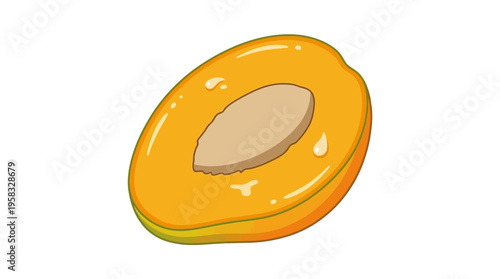 Juicy Apricot Half with Seed Illustration.
