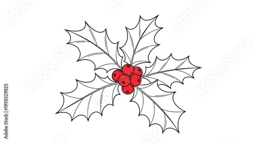 Traditional Christmas holly branch with green leaves and a cluster of bright red berries isolated on a clean white background.