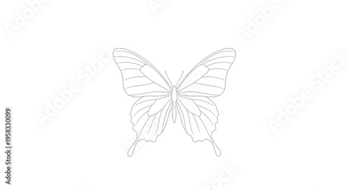Minimalist Butterfly Outline Drawing, Elegant Insect Line Art, Simple Vector Art