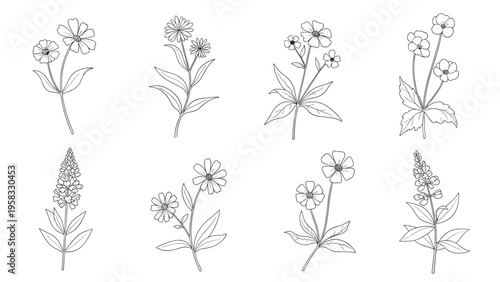 Beautiful hand drawn black and white floral sketches showing different types of flowers and leaves on white background.