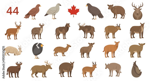 North American Wildlife Collection: Deer, Birds, Moose, Elk, and More