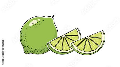 Fresh green lime fruit shown whole with two sliced wedges in a clean vector illustration style on a plain white background.