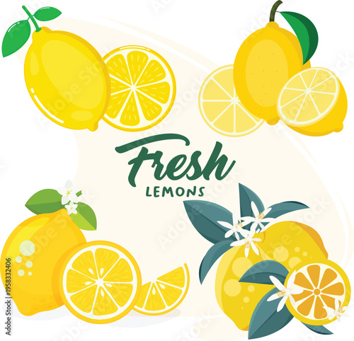 A bright and refreshing botanical illustration featuring several clusters of lemons. The set includes whole lemons with green leaves, halved lemons showing the juicy segments, and smaller lemon wedges