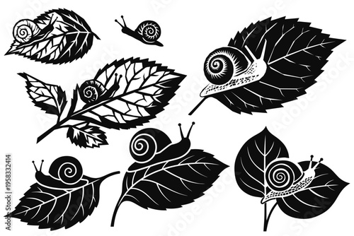 Monochrome woodcut style snail and leaf vector set
