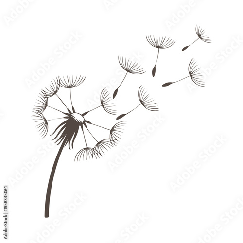Minimalist black dandelion silhouette with seeds blowing in the wind isolated on white