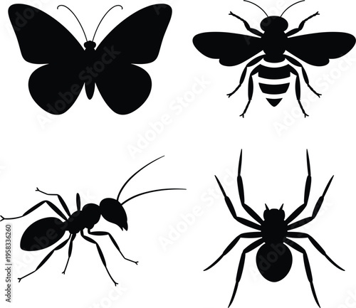 Εκτύπωση καμβά Insect silhouette vector set, butterfly, bee, ant, and spider icons isolated on