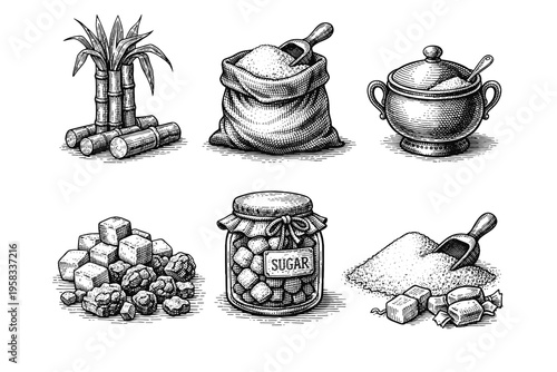 Vintage engraved sugar collection in black and white sweet ingredient illustration style