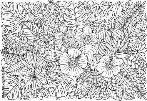 Beautiful floral vector illustration coloring page for adults and kids vector illustration coloring book