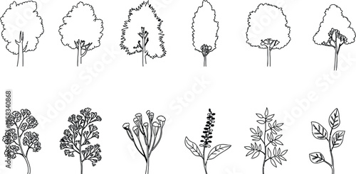 Minimal CAD Tree Line Drawing Set, Side View Graphic Tree Elements, Outline Symbols for Architecture and Landscape Design, Clean Vector Illustration on White Background for Presentation