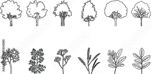 Minimal CAD Tree Line Drawing Set, Side View Graphic Tree Elements, Outline Symbols for Architecture and Landscape Design, Clean Vector Illustration on White Background for Presentation