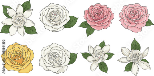 Rose and gardenia flower set with soft pastel botanical style. Elegant blooming flowers with green leaves. Decorative floral elements isolated for wedding and romantic design.