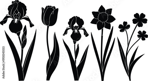 Black silhouette flower set with simple botanical shapes. Collection includes iris, tulip and daisy forms. Minimal floral elements isolated for modern and decorative design.