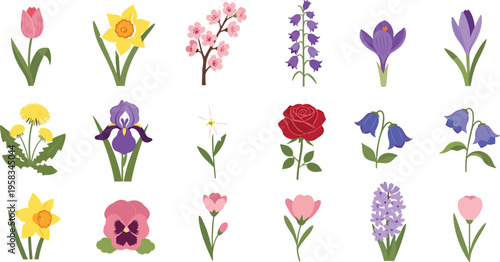 Minimal spring flower set with colorful flat botanical elements. Collection includes tulip, daffodil, rose and wildflowers. Decorative floral icons isolated for modern graphic design.