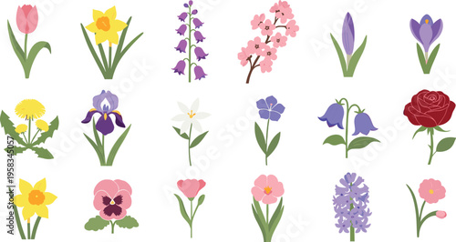 Flat spring flower set with colorful minimal botanical elements. Collection includes tulip, daffodil, rose and wildflowers. Decorative floral icons isolated for modern design use.