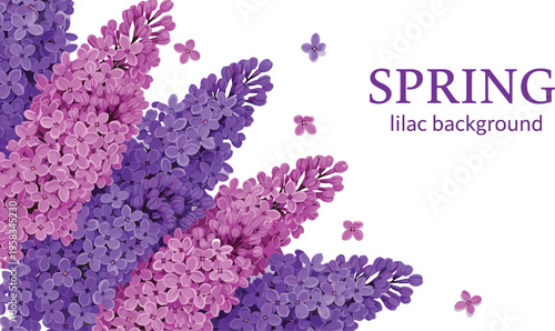 Spring lilac flower background with vibrant purple blossoms. Decorative floral composition with soft petals. Elegant botanical design for seasonal, romantic and nature themes.