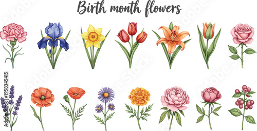 Birth month flower set with labeled botanical illustrations. Collection of twelve seasonal blooms in soft colors. Decorative floral elements for calendar, education and design use.