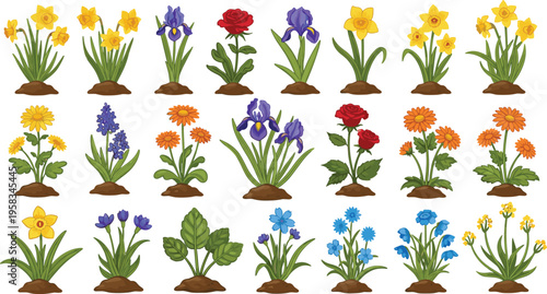 Garden flower set growing in soil with colorful spring blooms. Botanical collection including daffodil, iris and rose plants. Decorative floral elements for nature and gardening design.