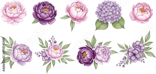 Peony and hydrangea flower set with soft pastel tones. Elegant hand drawn botanical collection with leaves and arrangements. Romantic floral elements isolated for wedding design.