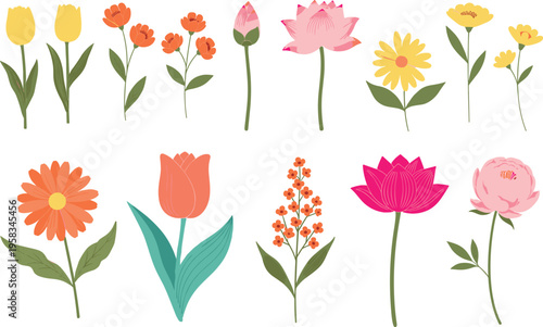 Minimal flat flower set with modern colorful botanical elements. Collection includes tulip, lotus and daisy flowers. Simple decorative floral icons isolated for design use.