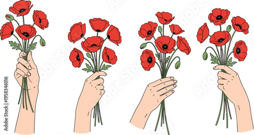 Hands holding poppy bouquet set. Red poppy flowers arranged in human hands. Symbolic floral illustration for gift, love, remembrance, and decorative design use.