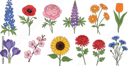 Mixed garden flower set. Colorful botanical collection with various species and blooms. Decorative floral elements isolated for spring, nature, and design projects.