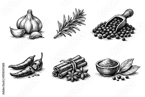 Vintage engraved seasoning and spice collection in black and white culinary illustration style