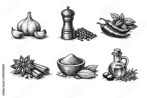 Vintage engraved seasoning and spice collection in black and white culinary illustration style