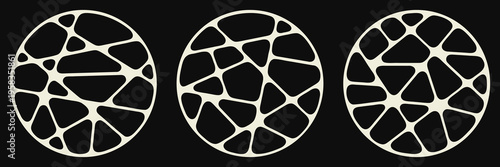 Collection of abstract geometric broken shapes forming circles. Monochrome Voronoi chaotic crack pattern.  Modern vector illustration 