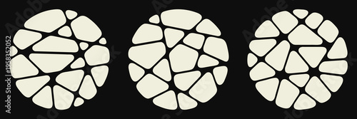 Collection of abstract geometric broken shapes forming circles. Monochrome Voronoi chaotic crack pattern.  Modern vector illustration 