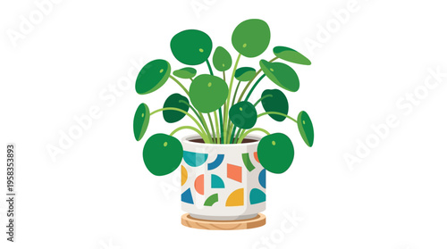 Pilea Peperomioides Plant in Decorative Mosaic Pot.