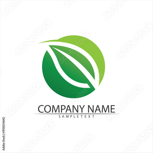 Tree leaf vector and green logo design friendly concept