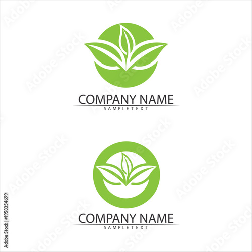 Tree leaf vector and green logo design friendly concept