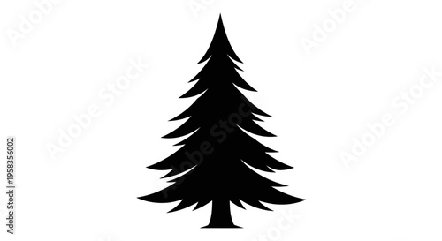 Silhouette of a tall evergreen pine tree with sharp branches.