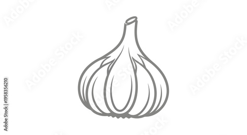 Simple Line Drawing of a Garlic Bulb.