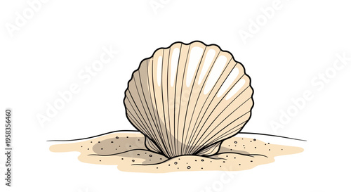 Single Seashell Resting on Sandy Beach Shoreline.